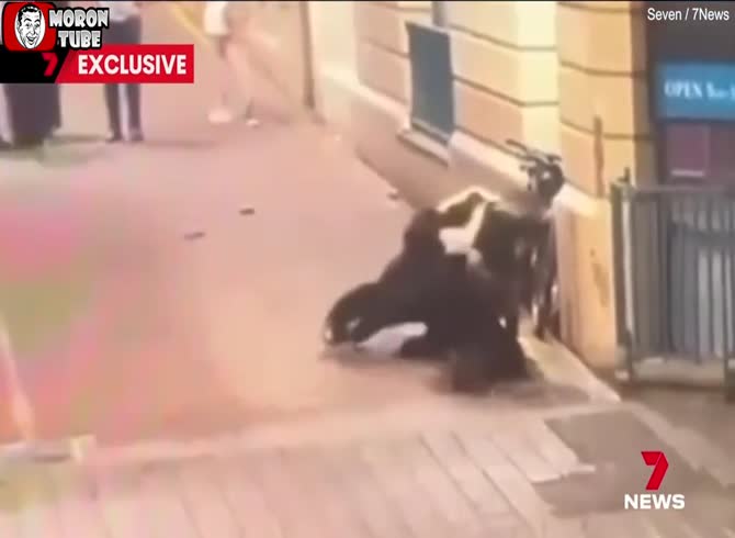 Video :During his arrest, he attempted to take the firearms from two police officers and assaulted them viciously